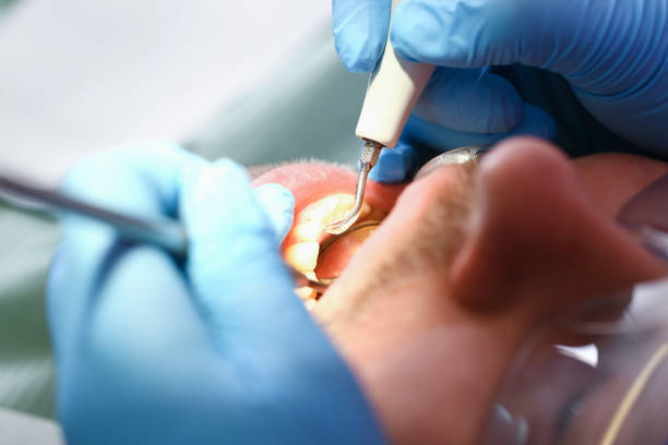 Best Tooth Pain Emergency Relief  in Forest Oaks, NC