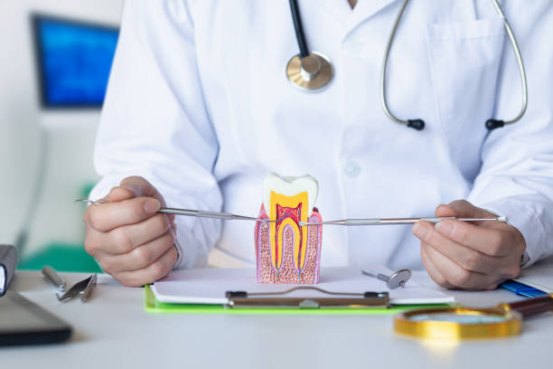 Best Urgent Tooth Repair  in Forest Oaks, NC